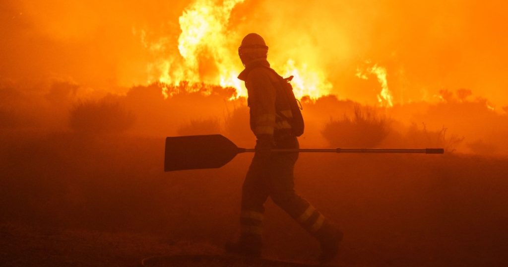 Imagine care ilustrează efectele devastatoare ale caniculei din Europa de Sud asupra sănătății.