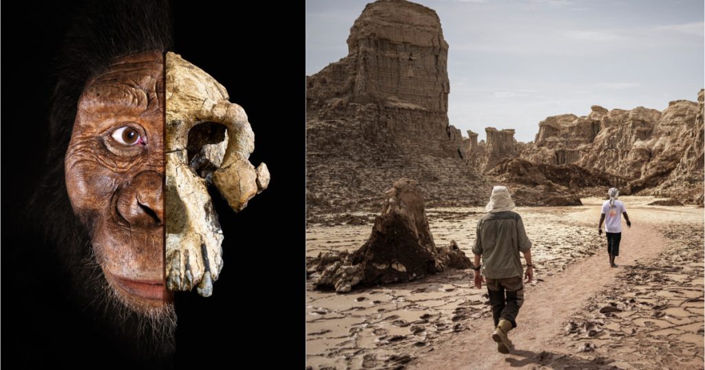 Ilustrație complexă a conceptului de evoluția umană ramificată, arătând multiple specii de hominizi.